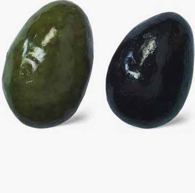 Olives Noires & Vertes